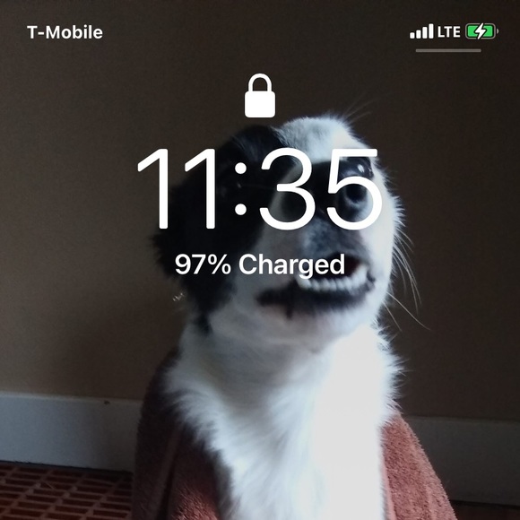 Meet your Posher, Erik - Picture 1 of 1